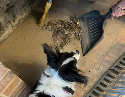 IMG-0094 (1)_edited_edited