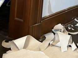 IMG-8290_edited_edited